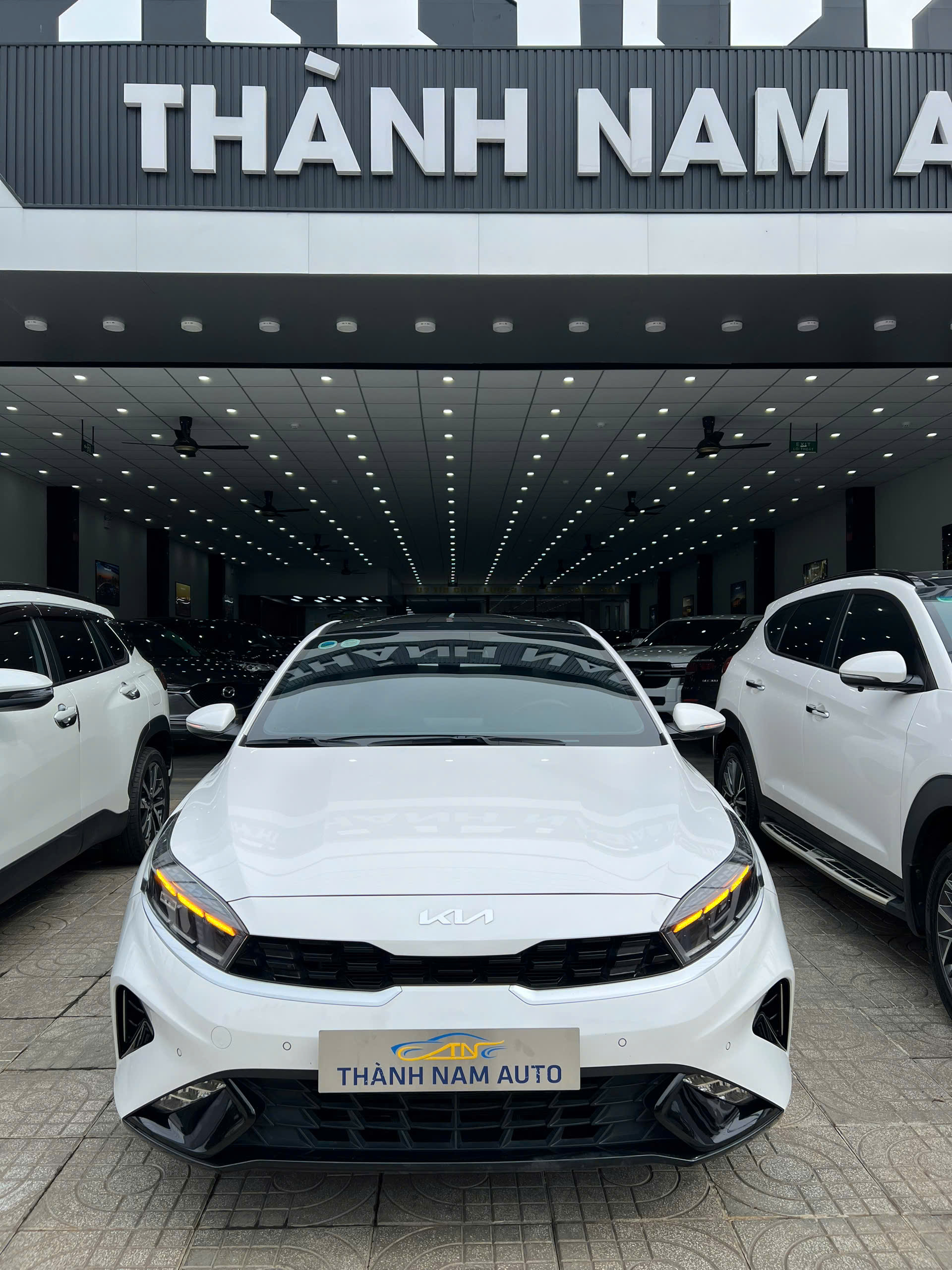 KIA K3 PRE 2024 (1)