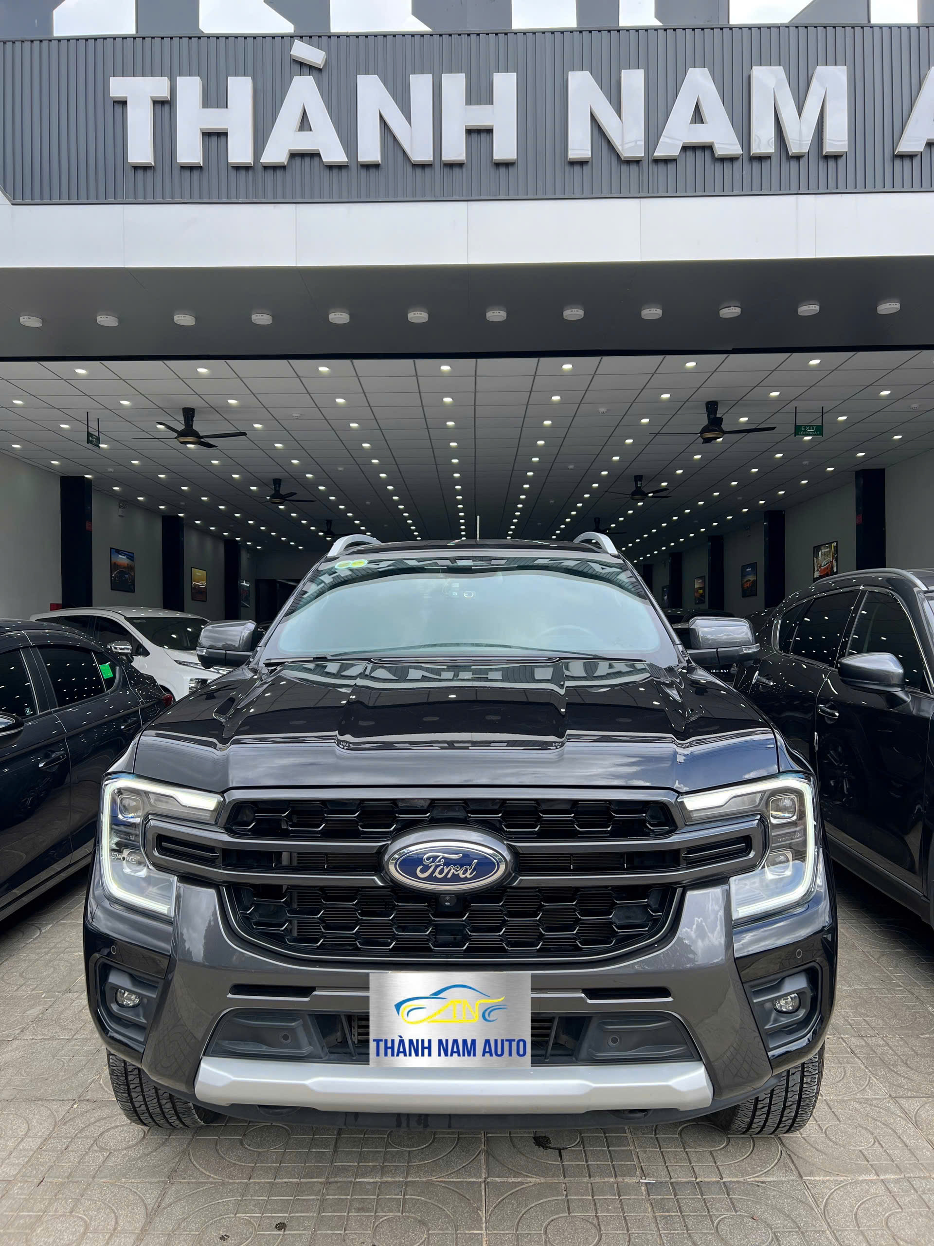 WILDTRAK 2024 (1)