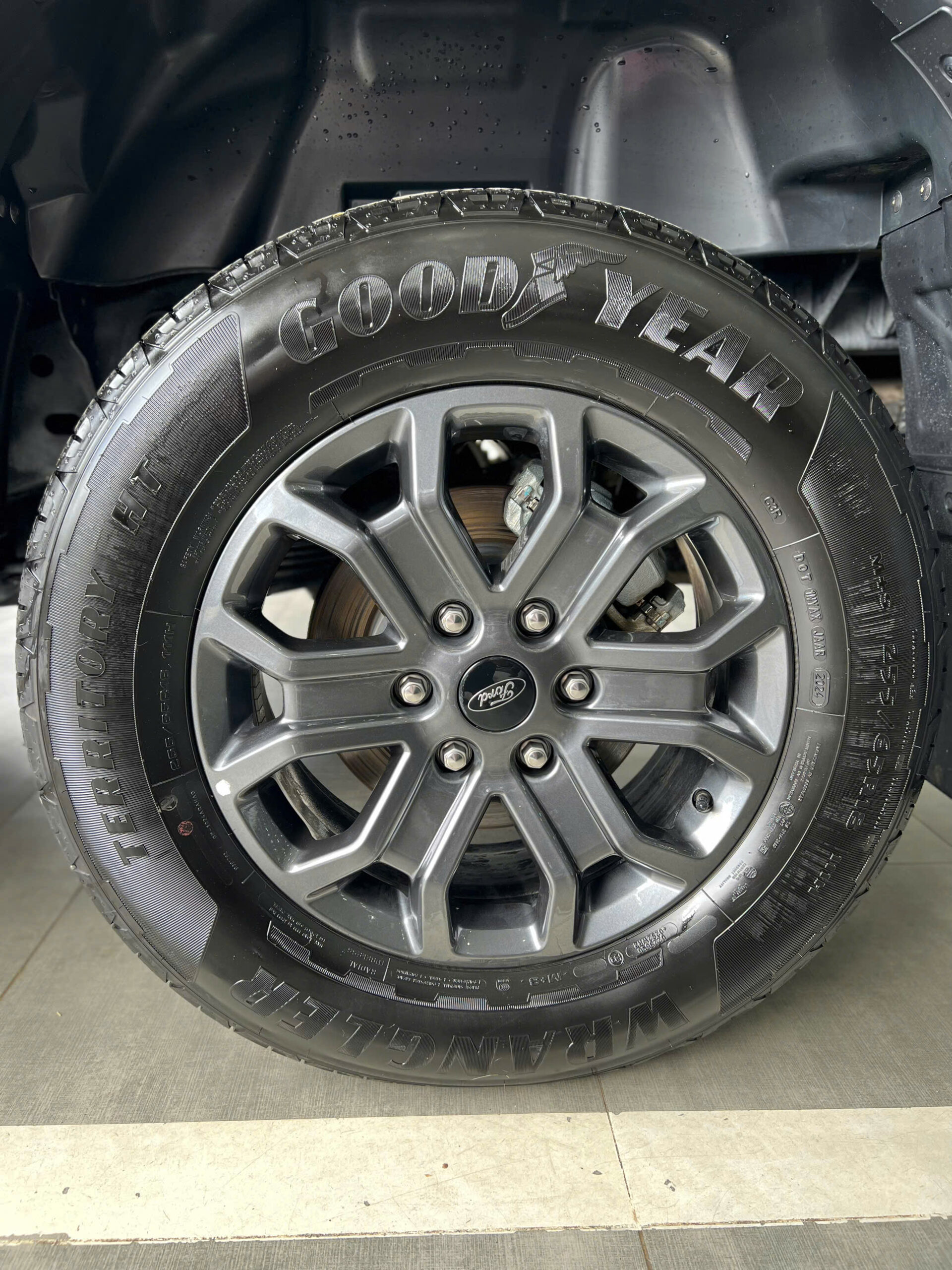 WILDTRAK 2024 (10)