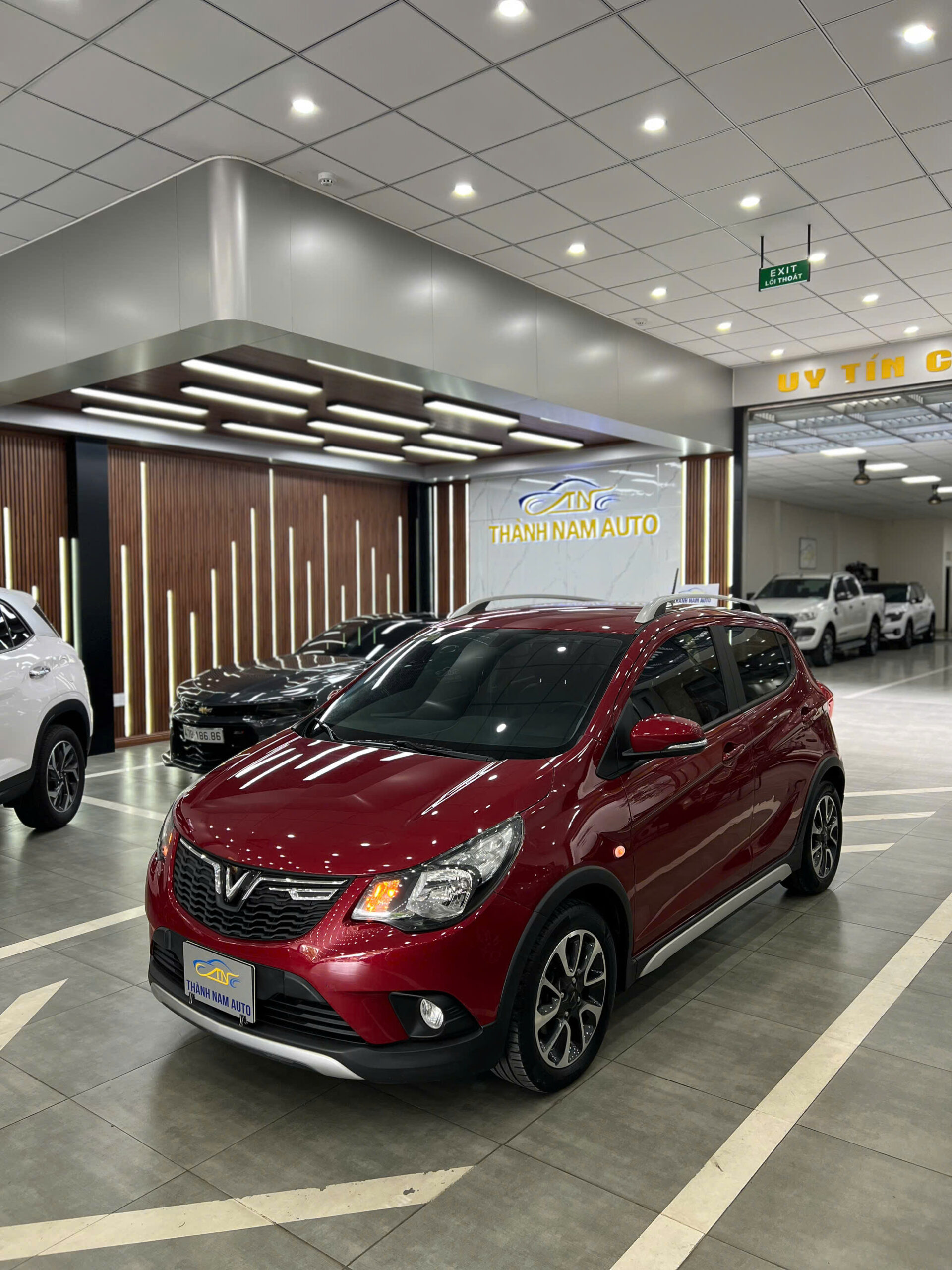FADIL PLUS 2022 ĐỎ (2)