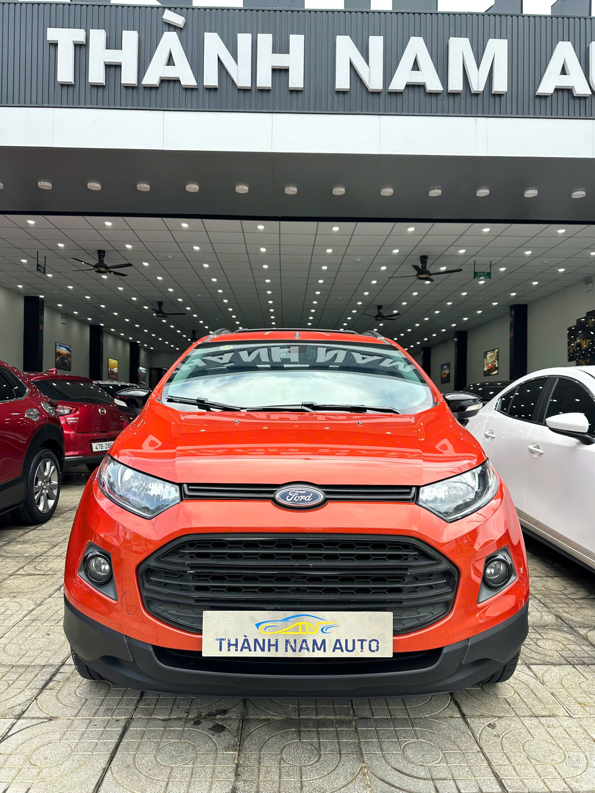 FORD ECOSPORT 2017 TITAN CAM (4)