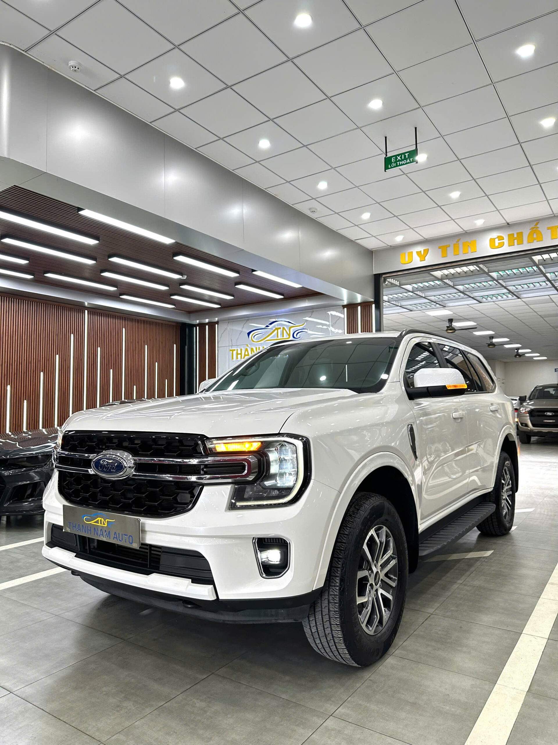 FORD EVERESR 2025 AMBIENET (2)